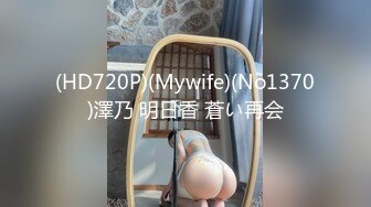 (HD720P)(Mywife)(No1370)澤乃 明日香 蒼い再会