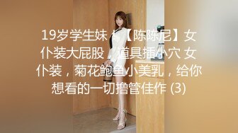 19岁学生妹！【陈陈尼】女仆装大屁股，道具插小穴 女仆装，菊花鲍鱼小美乳，给你想看的一切撸管佳作 (3)