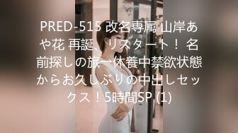 PRED-515 改名専属 山岸あや花 再誕、リスタート！ 名前探しの旅→休養中禁欲状態からお久しぶりの中出しセックス！5時間SP (1)