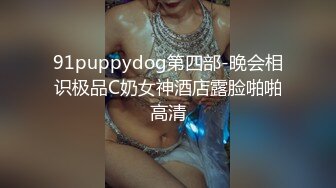 91puppydog第四部-晚会相识极品C奶女神酒店露脸啪啪高清