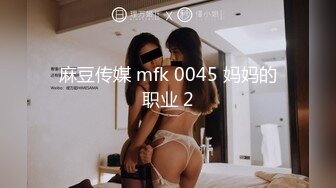 麻豆传媒 mfk 0045 妈妈的职业 2