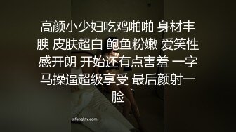 【91沈先生】（第二场）嫖客的自我修养，3000车模忽悠无套，教科书式的嫖娼百科