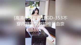 [高清中文字幕] PGD-353不穿內褲的女教師椎名由奈