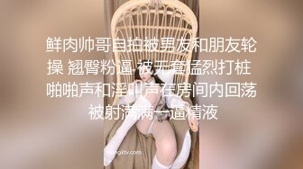 未知情侣的爱情【下集】