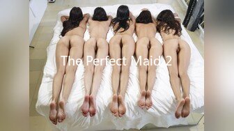 The Perfect Maid 2