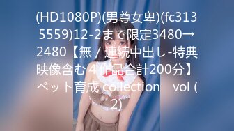 (HD1080P)(男尊女卑)(fc3135559)12-2まで限定3480→2480【無／連続中出し-特典映像含む４作品合計200分】ペット育成 collection　vol (2)