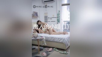 磨人的小喵 (1)