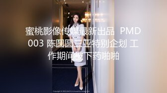 猫爪传媒 MMZ-065 搭了顺风车就强迫用身体还债