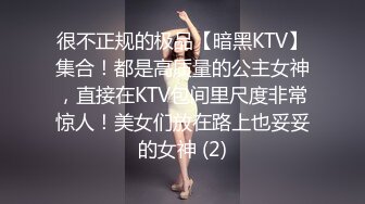 很不正规的极品【暗黑KTV】集合！都是高质量的公主女神，直接在KTV包间里尺度非常惊人！美女们放在路上也妥妥的女神 (2)