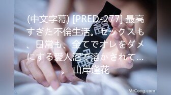 (中文字幕) [PRED-277] 最高すぎた不倫生活。セックスも、日常も、全てでオレをダメにする愛人沼で溶かされて…。 山岸逢花