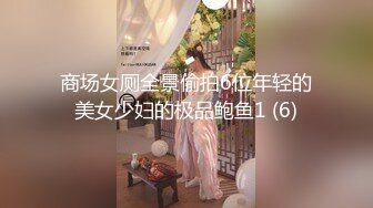 商场女厕全景偷拍6位年轻的美女少妇的极品鲍鱼1 (6)