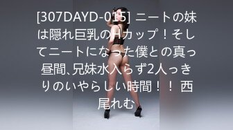 [307DAYD-015] ニートの妹は隠れ巨乳のHカップ！そしてニートになった僕との真っ昼間､兄妹水入らず2人っきりのいやらしい時間！！ 西尾れむ