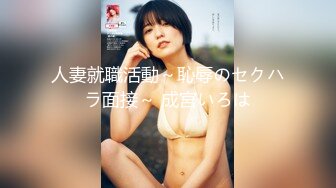 人妻就職活動～恥辱のセクハラ面接～ 成宮いろは