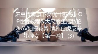 黑裙黑内极品美眉