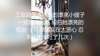 工业园偶遇村里的漂亮小嫂子 一路跟踪尾随 偷拍她漂亮的私处 （这旱厕实在太恶心 忍不住出来吐了几次）