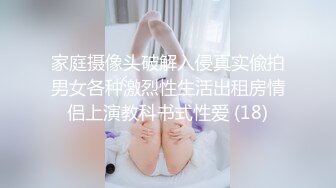 家庭摄像头破解入侵真实偸拍男女各种激烈性生活出租房情侣上演教科书式性爱 (18)