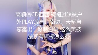 高颜值CD西西 短裙过膝袜户外PLAY凉亭、街边、天桥自慰露出，好刺激啊 这么美被发现有棒棒怎么办