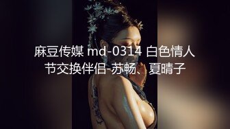 麻豆传媒 md-0314 白色情人节交换伴侣-苏畅、夏晴子