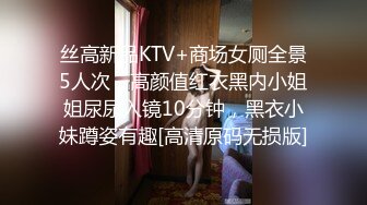 丝高新品KTV+商场女厕全景5人次，高颜值红衣黑内小姐姐尿尿入镜10分钟，黑衣小妹蹲姿有趣[高清原码无损版]