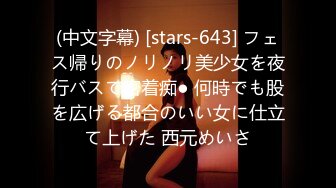 (中文字幕) [stars-643] フェス帰りのノリノリ美少女を夜行バスで密着痴● 何時でも股を広げる都合のいい女に仕立て上げた 西元めいさ