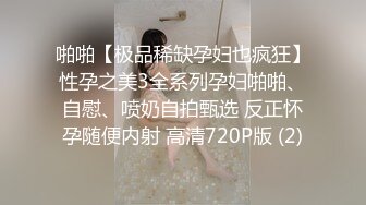 啪啪【极品稀缺孕妇也疯狂】性孕之美3全系列孕妇啪啪、自慰、喷奶自拍甄选 反正怀孕随便内射 高清720P版 (2)