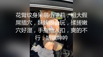 天美传媒 tmtc-009 趁老婆回娘家体验女仆服务-仙儿媛