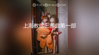 上海教练三部曲第一部